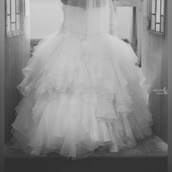 Oleg Cassini Wedding Dress - Picture 3 of 4